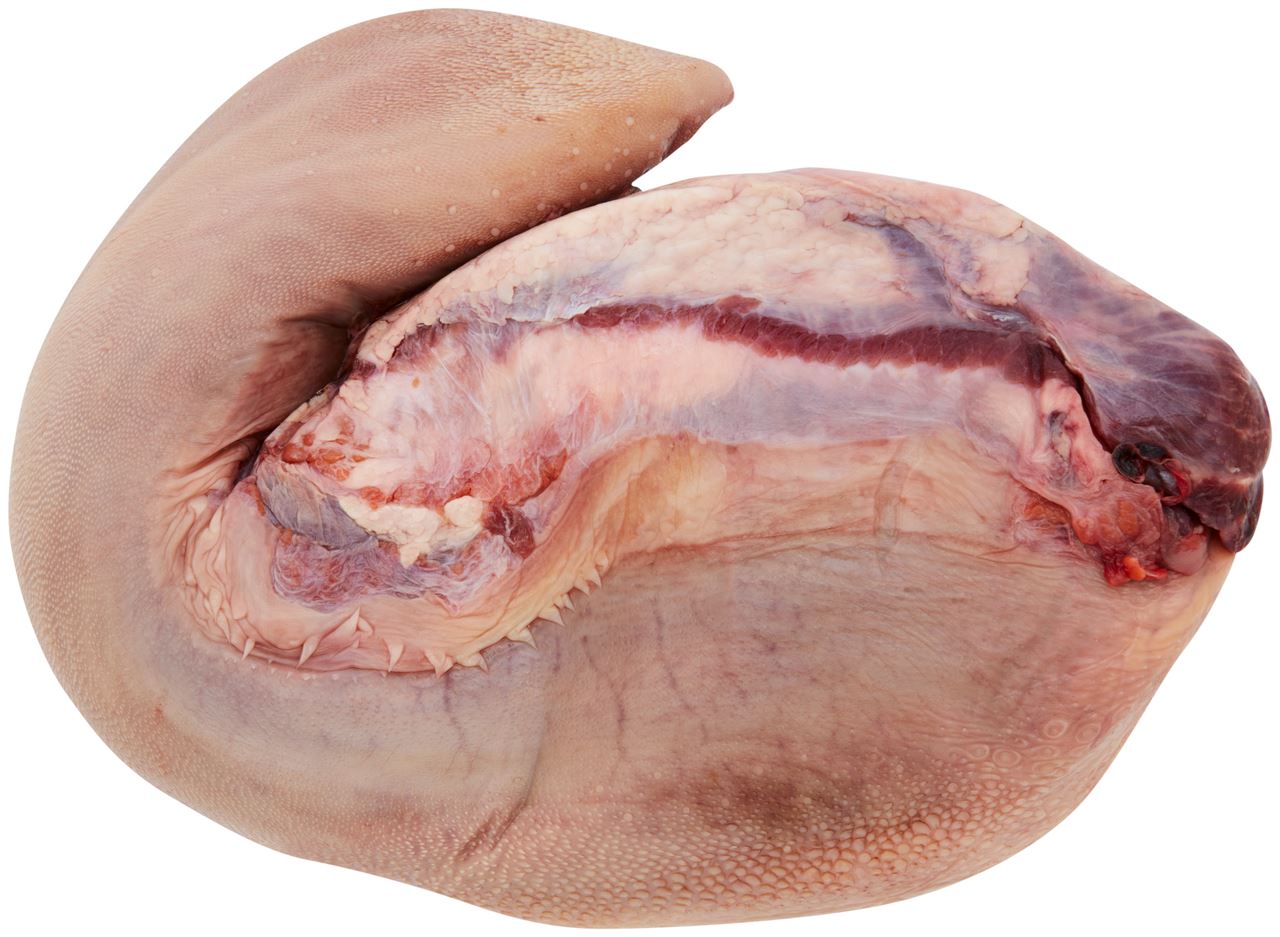 Frozen beef tongue