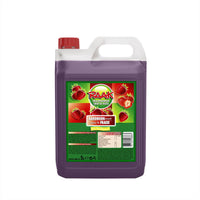 Thumbnail for RAAK Fruit Syrup Strawberry 5 l