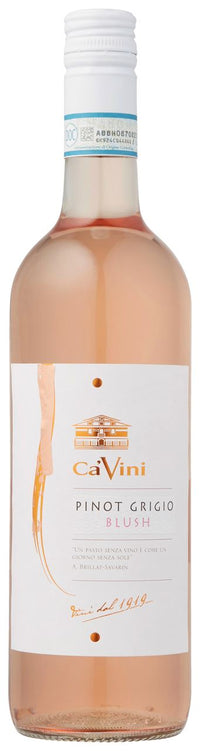 Thumbnail for CA' VINI Pinot Grigio Blush 75 cl