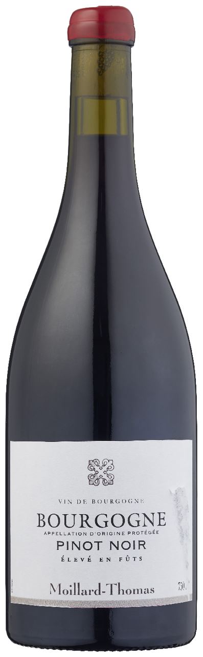 Moillard Thomas Pinot noir 75 cl
