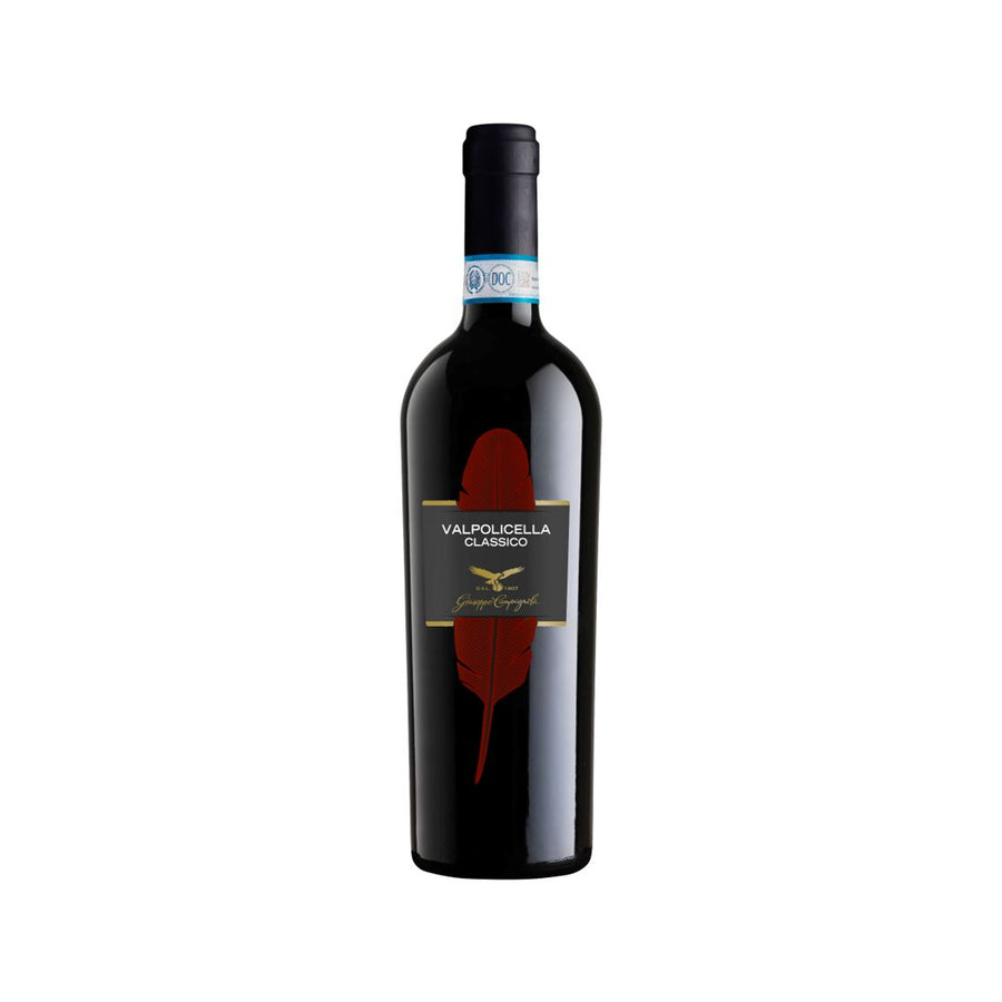 Guiseppe Campagnola Valpolicella Doc Classico 75 cl 12.5%