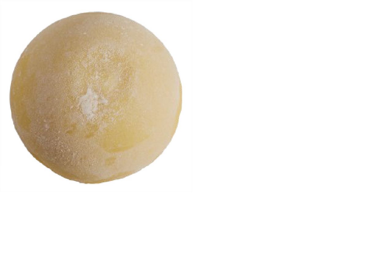 Erhard Mochi Mango 210 g
