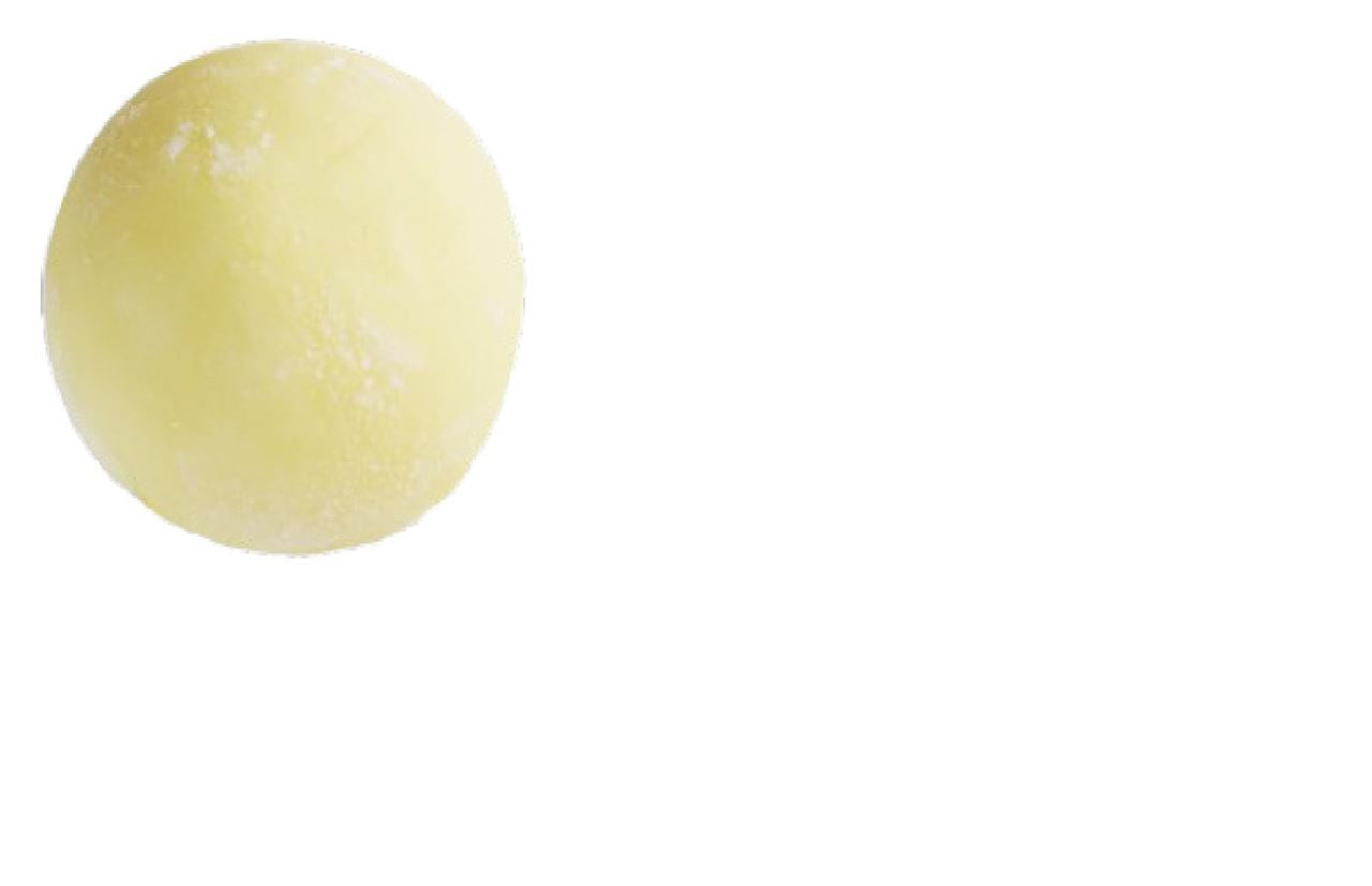 Erhard Mochi Lemon 210 g